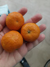 京鲜生 广西砂糖橘 净重8斤 单果35-45mm  新鲜水果 源头直发包邮 实拍图