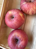 京鲜生陕西洛川红富士净重5斤75-80mm单果170g+新鲜水果源头直发 实拍图