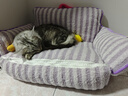 ZEZE宠物沙发猫窝四季通用可拆洗狗窝小狗泰迪小型犬大型犬可用 实拍图