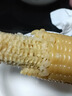 顾果鲜广西白糯牛奶玉米9斤新鲜现摘黏粘棒子带皮生苞米甜嫩农家自种 9斤 实拍图