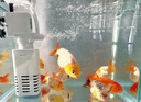 松宝鱼缸过滤器三合一潜水增氧泵水族箱内置过滤净水氧气泵循环抽水泵 WP-750F 3.5瓦+2块替换棉 实拍图