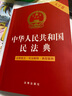 2024年中华人民共和国民法典（法律条文·司法解释·典型案例）大字版  批量采购专线400-026-0000 实拍图