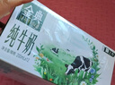 伊利【新鲜日期】金典纯牛奶整箱 250ml*16盒 3.6g乳蛋白 年货礼盒装 实拍图