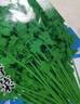 【随种随吃】调料菜种子组合春季四季易种耐热阳台盆栽通种蔬菜 小叶香菜种子2包约2000粒 一包约1000粒 实拍图