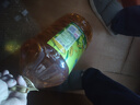 金龙鱼 食用油 压榨 不油腻轻年葵花籽油4L（新老包装随机发货） 实拍图
