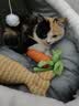 HOUYA猫窝狗窝小型犬猫咪秋冬保暖封闭式猫屋睡觉垫玩睡一体 实拍图