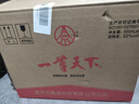 五粮液股份出品 一尊天下盛世佳品 浓香型白酒52度500mL*6瓶整箱 送礼 实拍图