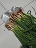 盛觅 小香葱新鲜去皮精品小葱细葱蘸酱自身农家香葱整箱 香葱带箱5斤净重4.5斤 自有农场 实拍图