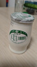 圣祥老北京酸奶无蔗糖酸奶180g*12瓶 低温酸奶健康轻食特产短保顺丰 实拍图
