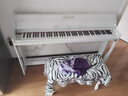 海蒂诗 电钢琴88键重锤电子钢琴儿童初学幼师专业成人家用数码立式钢琴 P-310木纹白-蓝牙-重力度-配琴凳 实拍图