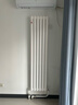 金旗舰暖气片家用钢制水暖壁挂式全屋暖气定制集中供暖自采暖立式散热器 防腐金刚60F-高1800mm 6分口 实拍图