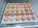 京鲜生 无抗保洁鲜鸡蛋30枚/盒 健康轻食 礼盒送礼 1.5kg/盒 源头直发 实拍图