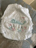 好奇（Huggies）铂金装小桃裤成长裤XXXL26片*4包(17kg以上)【透爽散热】 实拍图