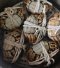 乾澄【活蟹】乾澄大闸蟹现货 公4.0两母3.0两8只4对鲜活螃蟹海鲜过年送礼年货礼盒源头直发 实拍图