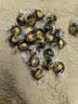 瑞士莲进口Lindt软心球榛仁牛奶黑巧克力500g散称婚庆喜糖 70%特浓黑巧克力500g散称 实拍图