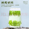 音朗 茶叶绿茶 川派雀舌2026新茶明前特级春茶嫩芽茶叶礼盒送长辈250g 实拍图
