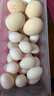 均鲜新鲜土鸽子蛋杂粮喂养农家特产白鸽蛋信鸽蛋孕妇宝宝年货节礼盒装 30枚610g左右精选鲜鸽蛋 实拍图
