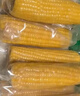 十月稻田 黄甜糯玉米 8根 3.52斤 真空包装 东北粘玉米棒 低脂早餐 实拍图