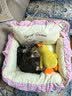 嬉皮狗狗窝四季通用冬天保暖小型犬狗狗宠物床 S码 适用5斤内 实拍图