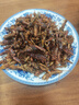 海宏盈【活鲜】 青岛大海螺鲜活 1500g 海鲜贝类生鲜 特大规格共9-12只 1500g 实拍图