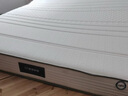 星港（STARDOM） 小硬垫床垫 加硬睡感整网弹簧 椰棕乳胶床垫 加厚主卧护脊中老年 全硬垫经典版乳胶23cm 1800*2000 实拍图