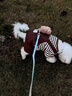 宠城狗狗衣服秋冬可爱四脚衣加绒保暖可牵引中小型犬博美泰迪比熊冬季 棕色小熊【可牵引加绒厚】 S（建议体重3-5斤） 实拍图