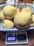 河北鸭梨新鲜10斤应当季水果现摘正宗水晶酥白梨雪梨整箱包邮梨子 净重5斤尝鲜小果 实拍图