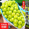 阳光玫瑰葡萄晴王青提香水提子山西新鲜水果一斤也是批发价 带箱5斤大果【单果克重10g-20g】（净重约4.5斤） 实拍图