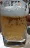 帕丁堡精酿啤酒整箱德式原浆啤酒1L*12大桶扎啤白啤小麦精酿桶装 精酿 1L 4桶 实拍图