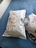 富安娜蚕丝枕头颈椎枕芯升级抗菌丝棉枕150g蚕丝70*45cm一对装 实拍图