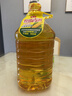 鲁花  食用油 压榨特香非转基因玉米胚芽油5L 实拍图