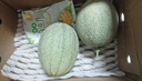 京鲜生 海南哈密瓜西州蜜/西周蜜 2粒5-7斤 单果2.5斤生鲜水果年货礼盒 实拍图