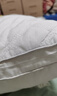 洁丽雅（Grace）纤维枕星级酒店枕头枕芯46*72cm一对装（2只装） 实拍图