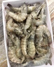 GUO LIAN国联 翡翠生虾仁海鲜去冰净重2斤 156-198只【400万+好评】年货节 实拍图