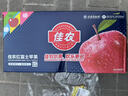 京鲜生 山东栖霞红富士苹果精品12粒 单果190g-240g  水果礼盒 实拍图