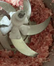 京严绞肉机家用电动绞馅机商用大容量碎肉打肉机婴儿辅食机多功能料理机搅馅搅菜搅肉机蒜泥肉沫搅拌机 旗舰款【6叶精钢刀+不锈钢】 大容量 5L 实拍图