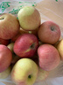 京鲜生 新疆阿克苏苹果 净重9斤 果径80-85mm 新鲜水果 实拍图