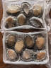 森农乐鲍鱼鲜活冷冻特大生鲜大号贝类海鲜水产超大即食佛跳墙食材鲍鱼汁 6-8只/斤【特大鲍鱼1斤 肥嫩满足】 实拍图