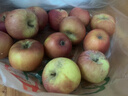 京鲜生 新疆阿克苏苹果 净重4.5斤 果径75-80mm 水果源头直发 实拍图