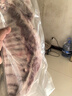 鲜京采内蒙古羔羊整排 净重3斤 生鲜速冻羊肉 羊排烧烤清炖食材  实拍图