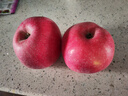 京鲜生 陕西洛川红富士苹果 净重5斤75-80mm单果170g+新鲜水果源头直发  实拍图