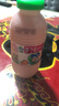 李子园【成毅代言】甜牛奶乳饮料草莓味225ml*20瓶儿童奶早餐奶送礼黑五 实拍图