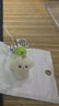 清凉冰透感苹果植绒小狗小猫手机链夏季多巴胺手机包包挂件 【青苹果小狗】手机链 实拍图
