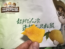 三只松鼠芒果干500g/袋 休闲零食水果干蜜饯果脯娱乐办公室小吃量贩装 实拍图