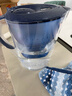 碧然德（BRITA） 家用滤水壶 净水壶滤芯 Maxtra 多效滤芯 6枚装 实拍图