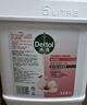 滴露（Dettol）洗手液补充装大桶消毒滋润5L 儿童家庭装杀菌护手 实拍图