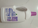 滴露（Dettol）衣物除菌液薰衣草3L 99.9%杀菌除螨 内衣衣物消毒液 可配洗衣液 实拍图