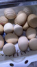 京鲜生可生食标准鲜鸡蛋30枚礼盒装3斤 源头直发 实拍图