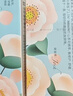溪木源山茶花水乳套装舒缓修护敏感肌春夏补水保湿护肤礼物 【保湿修护】水+乳 实拍图