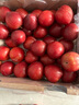 京鲜生 智利进口樱桃李4J级5斤礼盒装 年货礼盒 送礼 新鲜水果 实拍图
